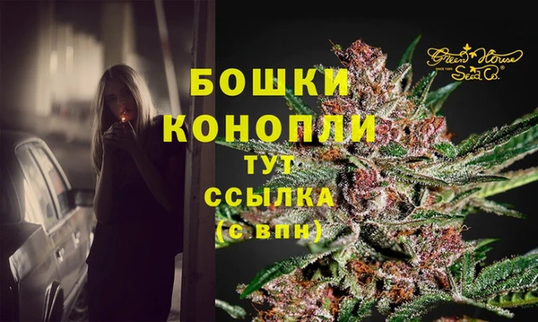 кокс Богородицк