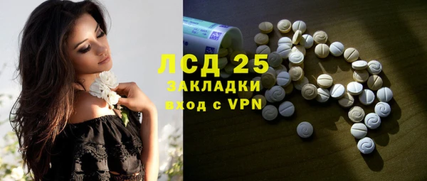 индика Богородск