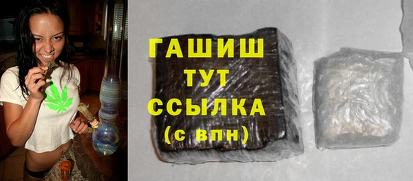 индика Богородск