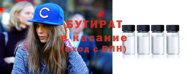 индика Богородск