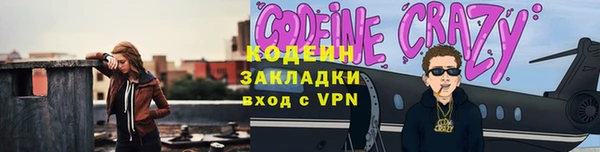 индика Богородск