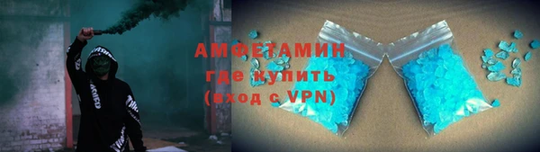 индика Богородск