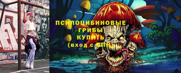 индика Богородск