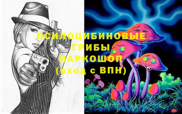 кокс Богородицк