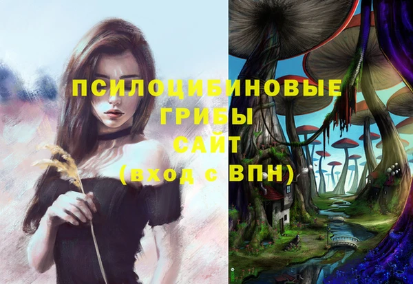 индика Богородск