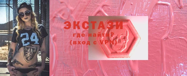 индика Богородск